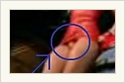 Lady GaGas Penis