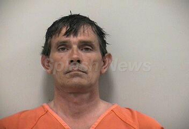 Man Accuses Kitty of Downloading Kiddie Porn