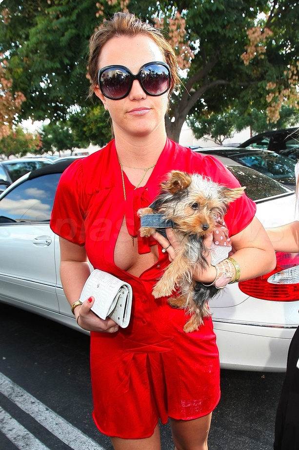 Celebs And Their Dogs
