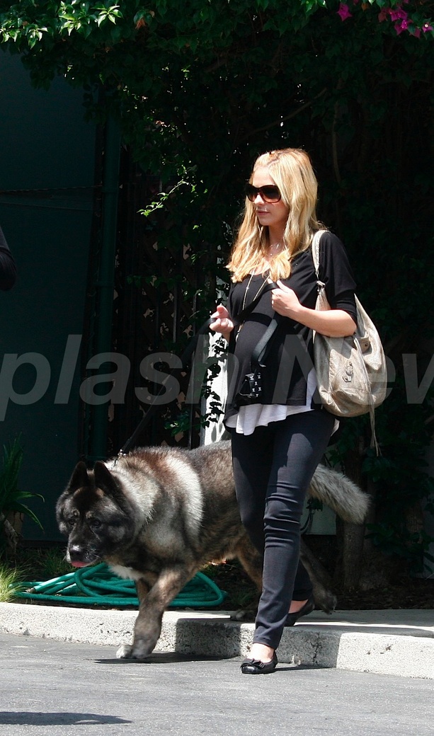 Sarah Michelle Gellar Pregnant With A Pooch
