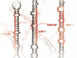 New study detects oral cancer Via RNA in spit