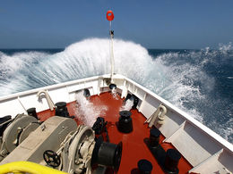 Skulls found on Mafia ship laden with toxic waste