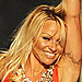 Pamela Anderson Goes Green and Glam for Her Fashion Line