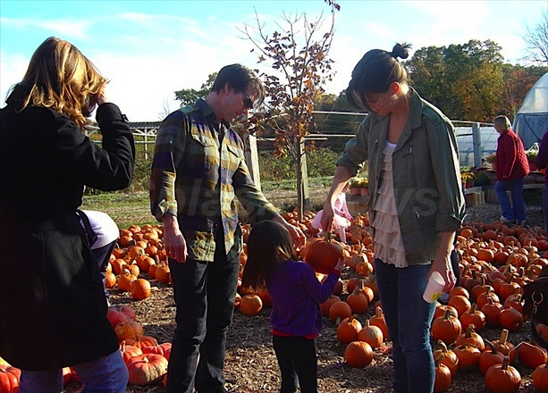 Cruising Through The Pumpkin Patch