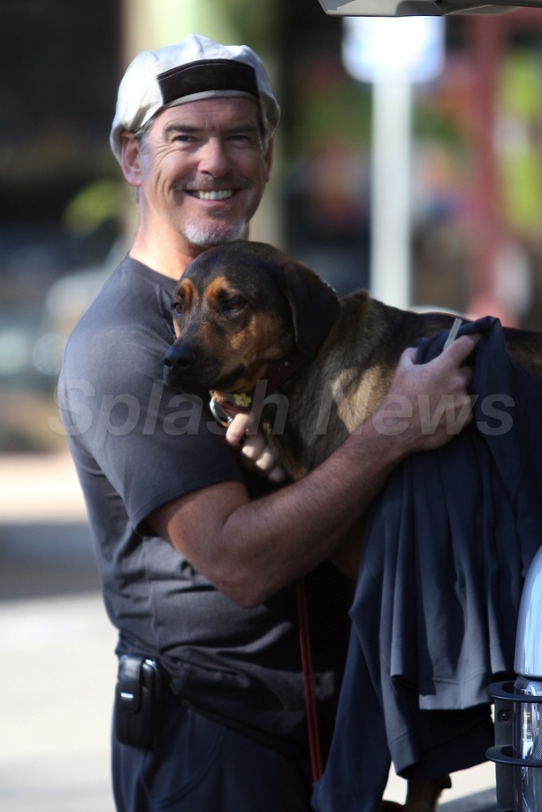 EXCLUSIVE: Pierce Brosnan Bonds With His Pooch