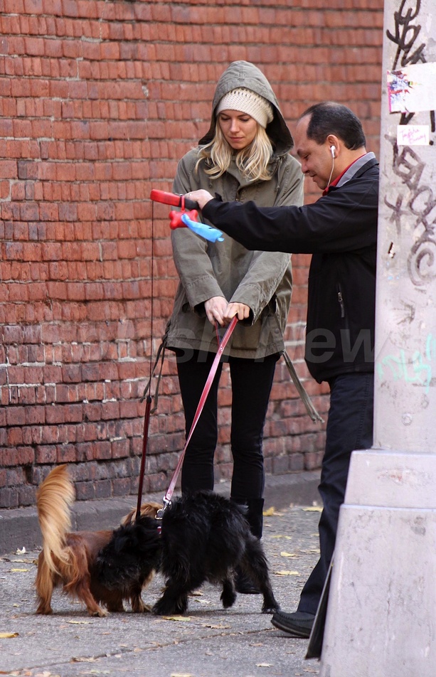 Sienna Miller And Bess Make New Friends