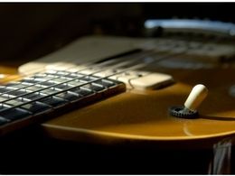 Gibson guitars raided by US police