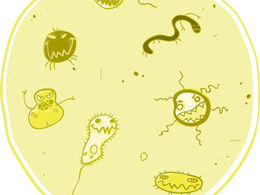Germs are good for you!