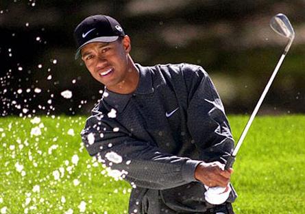 Transgressions of Tiger Turn to Twitter Fodder