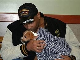 War vets, shelter dogs heal together in program