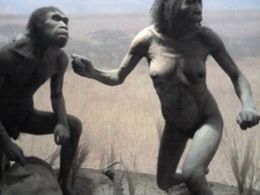 Humans might have faced extinction 1 million years ago