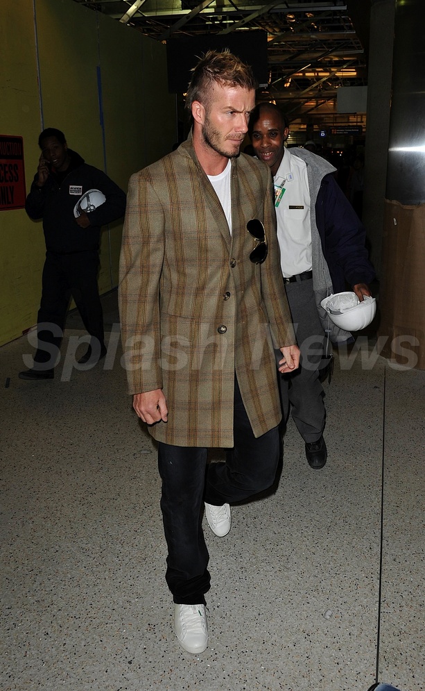 David Beckham Gives Away His Dog