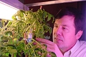 Man Grows Real Life Tomacco Plant
