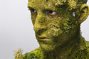The Real Mr. Grasshead