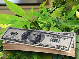 NPR: Will legalizing Pot solve California’s budget woes?