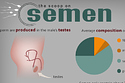 The Scoop On Sperm