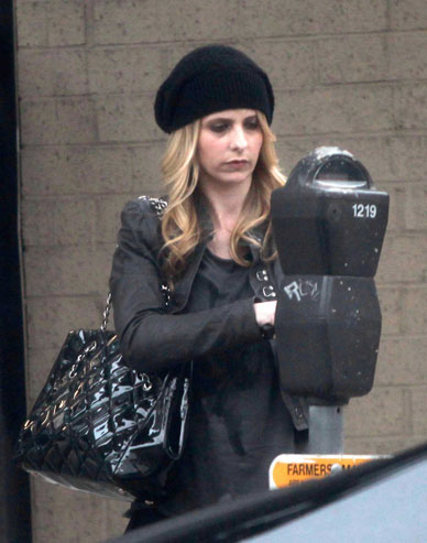 Sarah Michelle Gellar Likes The Sluts Slots