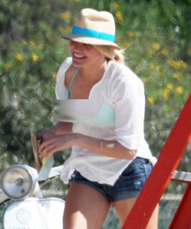 Cameron Diaz Slips A Little Nipple