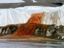 Antarctica’s Blood Falls Are An Extremophile’s Paradise