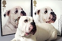 Homeless Pets Get Their Own Stamps