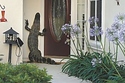 Knock Knock…