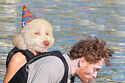 Birthday Dog Is Stoked