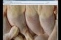 Scrotum Modeling
