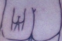Butt On A Butt Tattoo [NSFW]