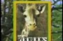 Zoobooks Infomercial