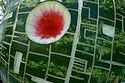 Death Star Watermelon