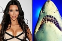 Awesome Celebrity Anagrams