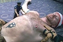 Man Recreates Gulliver’s Travels, Sort Of