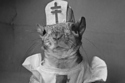 A Squirrel’s Guide to Fashion